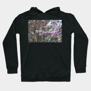 Red Bud Tree Hoodie